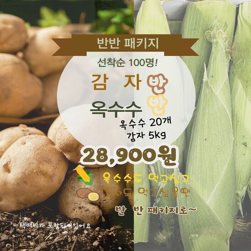 영월몰,[예약] 반반패키지 찰옥수수 20개 감자 5kg[9월말배송]