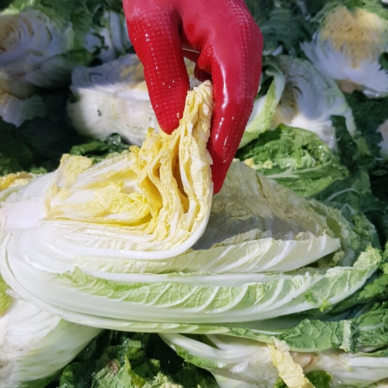 강원더몰,[라이브특가] 영월유팜 절임배추 20kg