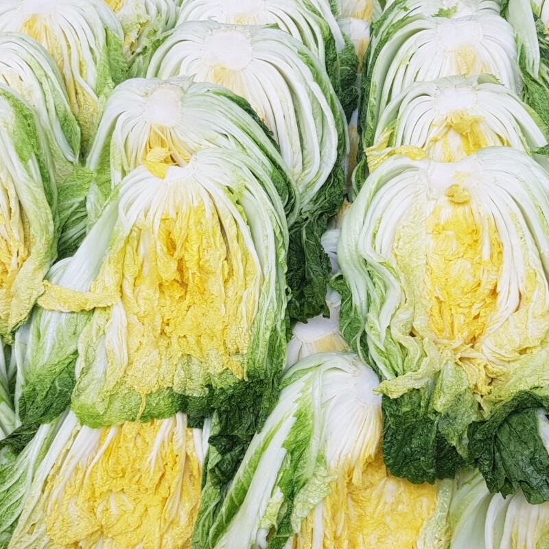 강원더몰,[라이브특가] 영월유팜 절임배추 20kg