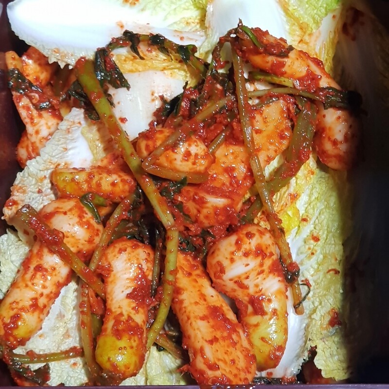 강원더몰,[라이브특가]영월유팜 절임알타리 10kg