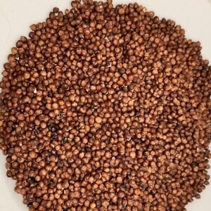 [영월유팜] 메수수 원물, 도정